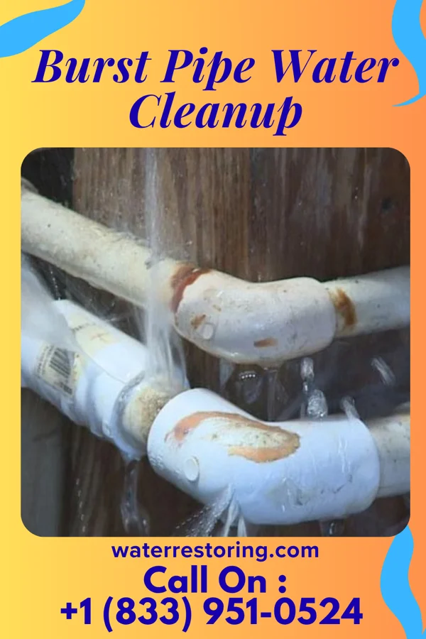 Burst Pipe Water Cleanup in Silver Lake, KS