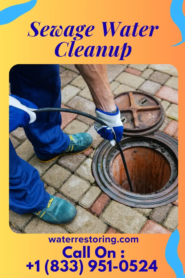 Sewage Water Cleanup in Silver Lake, KS